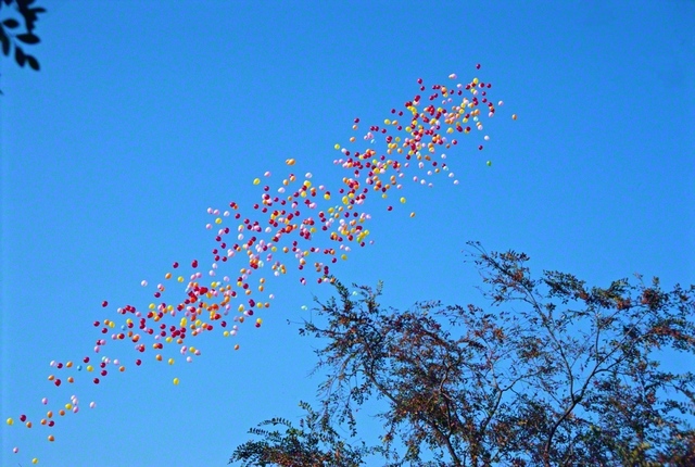 1987年11月10日、招待を受けて東京ディズニーランドを訪れた池田大作先生が、千葉・浦安市の空を舞う風船をカメラに収めた。この日、撮影した写真は千葉の同志に贈られ、皆の原点になっている