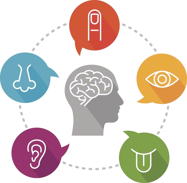 脳は知覚器官から受け取った情報などをもとに、次に起こることを予測している　©DrAfter123/DigitalVisionVectors/Getty　Images