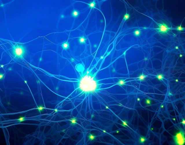 脳の回路は自分の行動や心の持ち方などに応じ、常に変化している　©CHRISTOPH　BURGSTEDT/SCIENCE　PHOTO　LIBRARY/Science　Photo　Library/Getty　Images