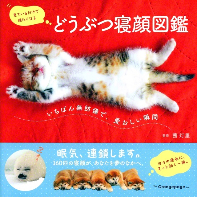 監修・コラム執筆＝茜灯里　オレンジページ・1650円