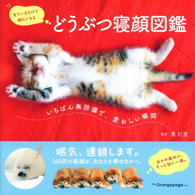 オレンジページ　1650円