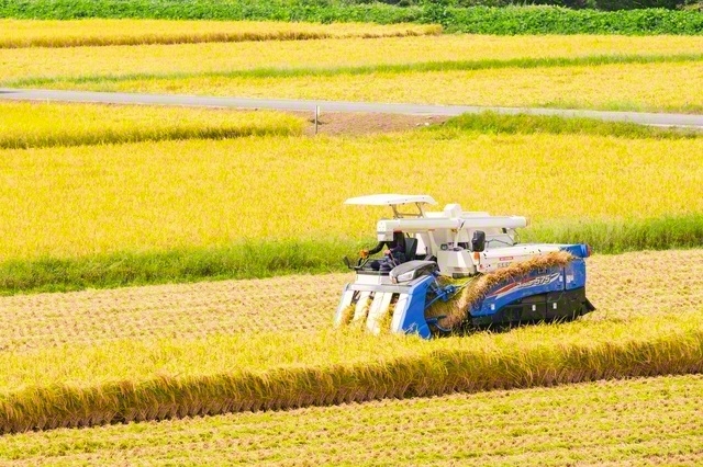 農民は「真摯、朴直」「平和の民か」と牧口先生（ばりろく/PIXTA）