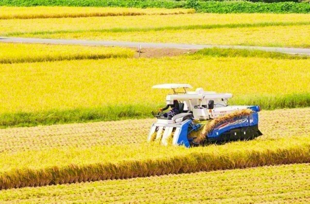 農民は「真摯、朴直」「平和の民か」と牧口先生（ばりろく/PIXTA）