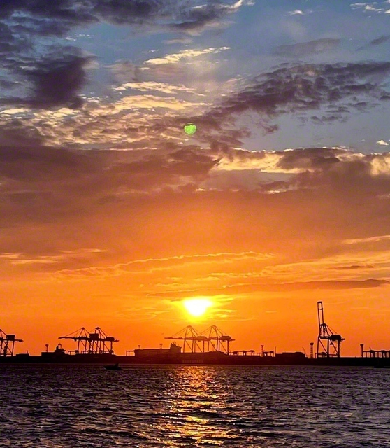 クレーン群に沈む夕陽