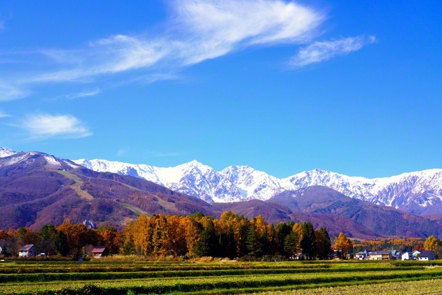 澄んだ空と秋が残る里山と白銀の北アルプス（長野県白馬村）＝長野・森田昭治通信員