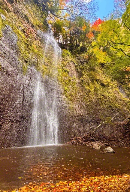 落差40メートルの清滝（大分県竹田市）。優雅に岩壁をつたい、滝つぼに降り注ぐ＝大分・田中亨一通信員