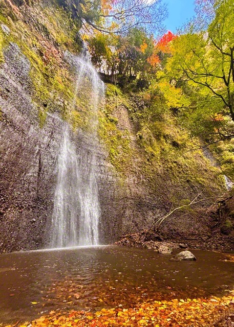 落差40メートルの清滝（大分県竹田市）。優雅に岩壁をつたい、滝つぼに降り注ぐ＝大分・田中亨一通信員