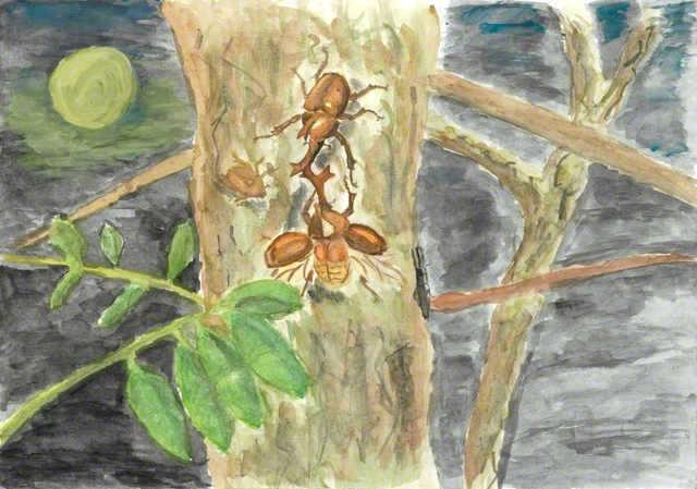 「夏の日の思い出」　宮城・大崎市6年　青木煌さん