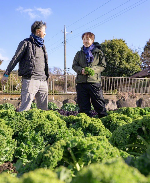 関口さん㊨は今月、ケールを育てる農家のもとへ。“あれに使えるかも”と、新しいレシピのヒントが見つかる