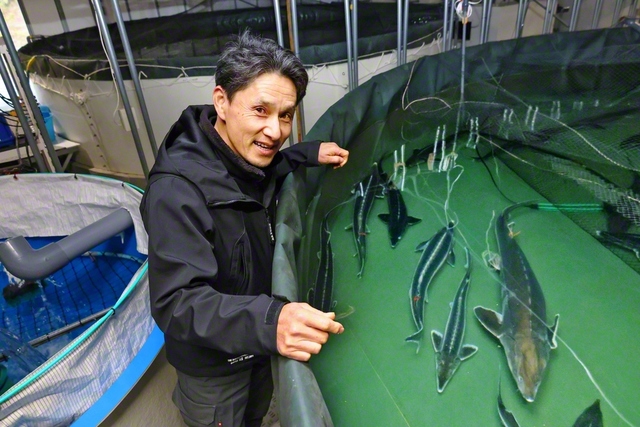 水質日本一に輝いた「宮川」の源流・始神川のほとりでチョウザメとクレソンを育てている辻さん