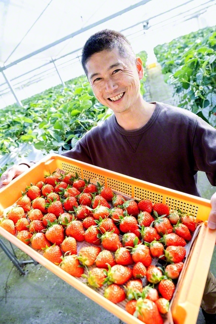 「いいイチゴができるかは自分次第。だから面白い」と岩田さん
