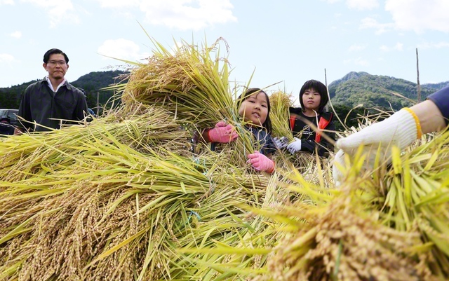 収穫体験をする子どもたち（宮城・大崎市）