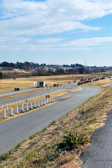 川崎市高津区の多摩川緑地（瀬田地区）。バーベキュー広場が隣接し、市民のレクリエーションの場になっている