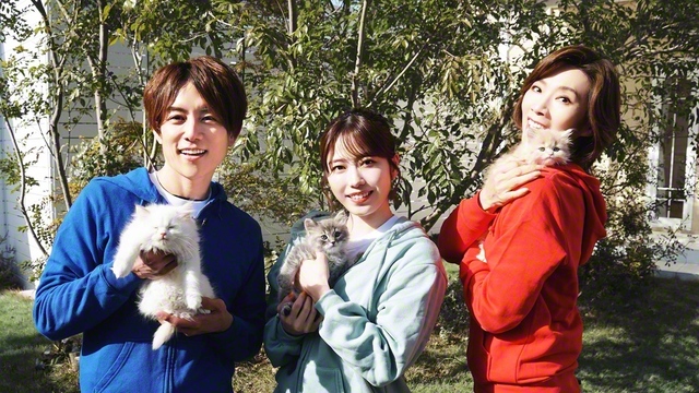 “ネコにゃん”に出演する杉浦太陽、横山由依、真琴つばさ（左から）©BSテレ東