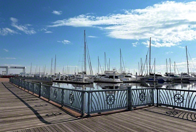 潮風を感じながら優雅なひとときを