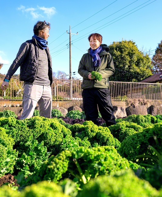 関口さん㊨は1月、ケールを育てる農家のもとへ。“あれに使えるかも”と、新しいレシピのヒントが見つかる