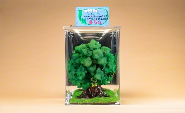 卒業制作の「ピースツリー」。平和への思いを込めて、45期全員で力を合わせて作成した