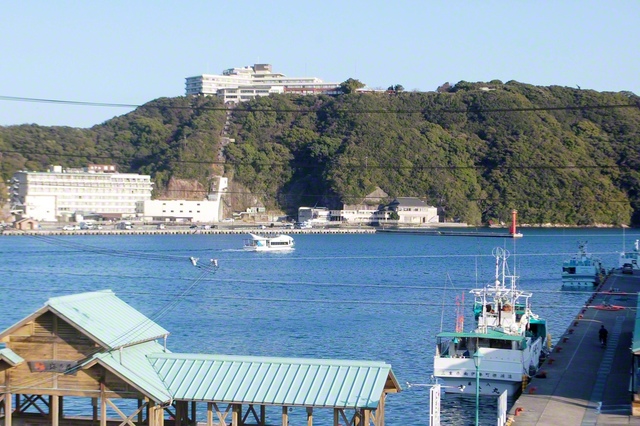 国内でも有数のマグロ基地である勝浦漁港。はえ縄漁による生マグロの水揚げ量は日本一を誇る（和歌山県那智勝浦町）＝和歌山・大久保賢一通信員