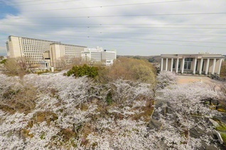 創価大学は1971年4月2日に開学。本年で55周年となる