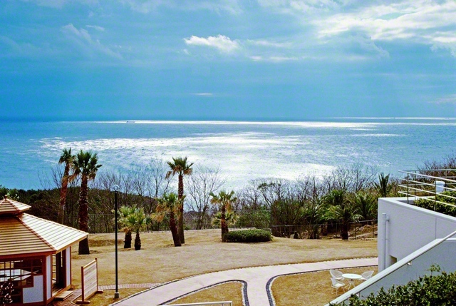 関西研修道場から望む光あふれる紀伊の大海原。銀色に輝く海が果てしなく続く（1988年3月、池田先生撮影）