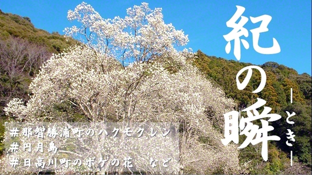 3月17日配信【和歌山版】〈紀の瞬〉