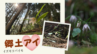 ※エラーになってしまう時はYoutubeでご覧ください