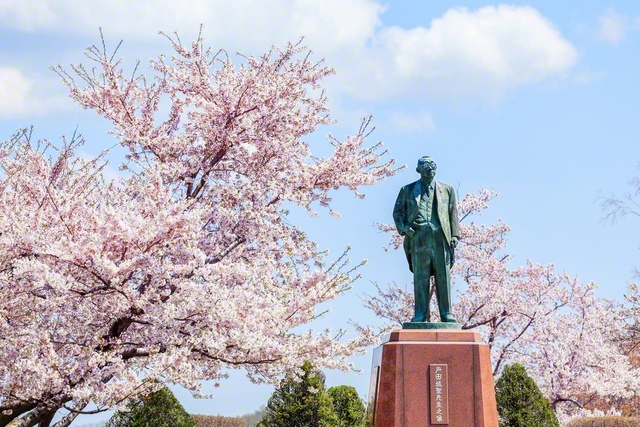北海道・厚田の戸田記念墓地公園（2025年5月、支社撮影）。満開の桜に囲まれた恩師の立像は、慈父のまなざしで見守る