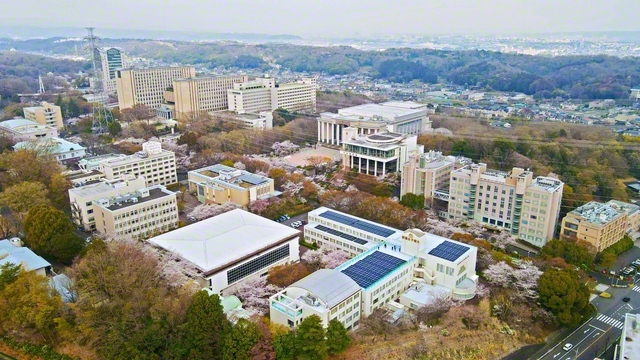 東京・八王子市の丹木の丘に立つ創価大学。桜咲くキャンパスに世界中の友が集い合い、友情と挑戦のドラマを開始する