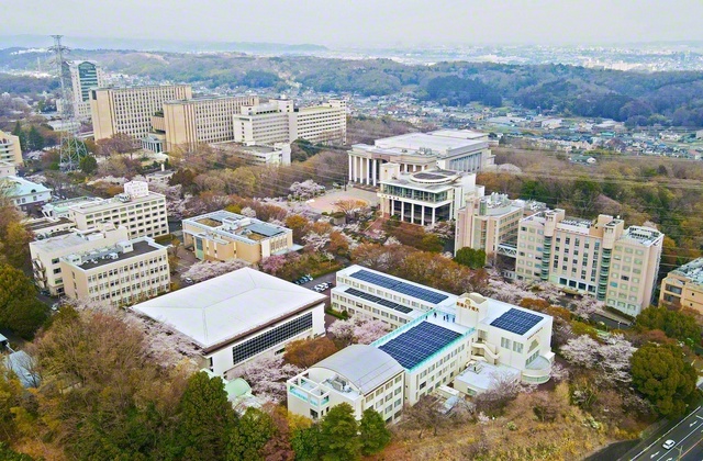 東京・八王子市の丹木の丘に立つ創価大学。桜咲くキャンパスに世界中の友が集い合い、友情と挑戦のドラマを開始する