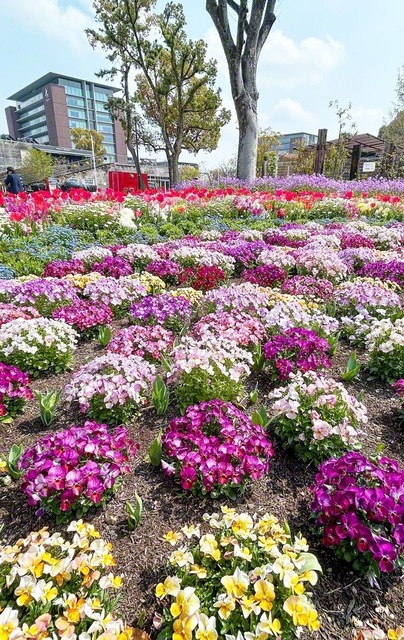 春の花々が咲き誇る名城公園フラワープラザ。色とりどりの景観が来園者の心を和ませる（名古屋市北区）