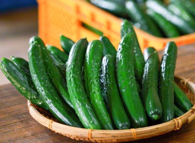 みずみずしさをたたえるキュウリは、努力の証し