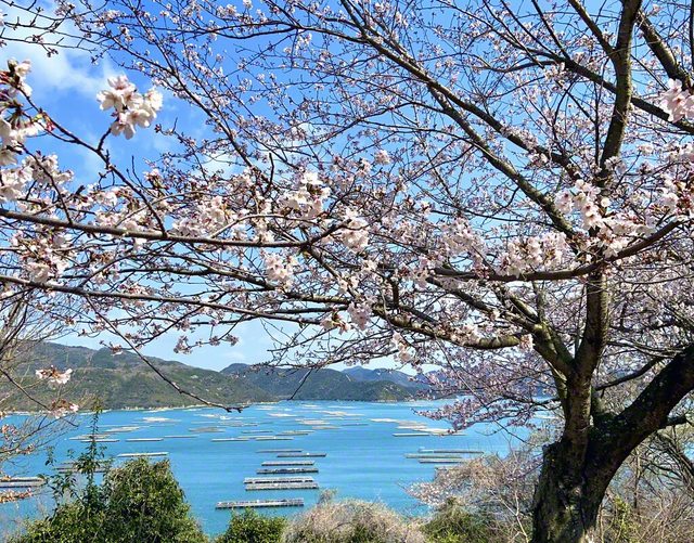 長島愛生園から瀬戸内海を望む