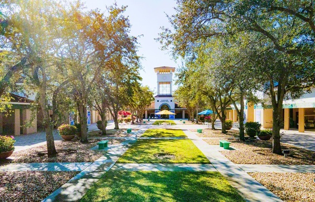 フロリダ自然文化センターに、木漏れ日が優しく降り注ぐ