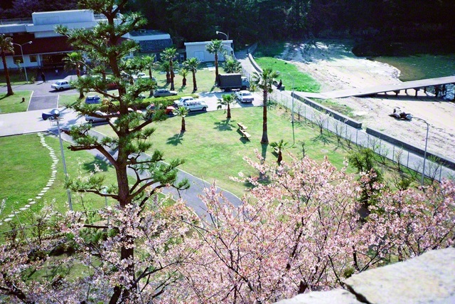 桜が咲き、穏やかな春光に包まれる四国研修道場。池田先生は友の幸福を祈りつつ、この麗しき風景をカメラに収めた（1985年4月）