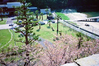 桜が咲き、穏やかな春光に包まれる四国研修道場。池田先生は友の幸福を祈りつつ、この麗しき風景をカメラに収めた（1985年4月）