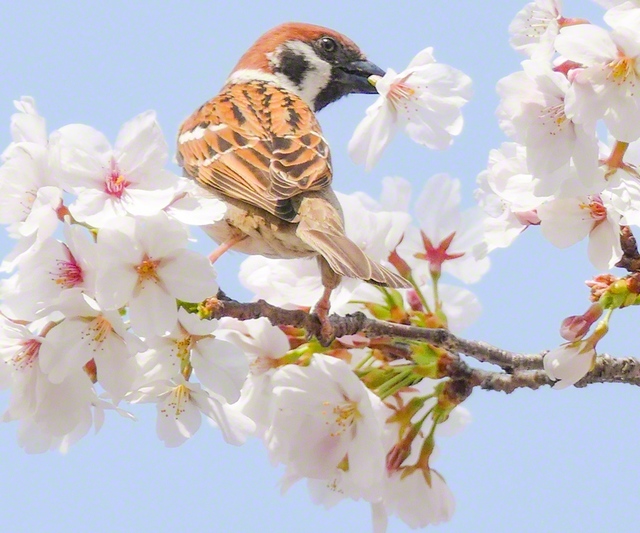 永田さんが撮影した写真
