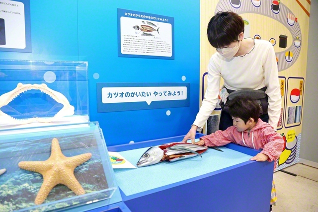 益城町のグランメッセ熊本で開幕した“ごはん展”。「お魚コーナー」など、親子で見て触れて学ぶことができる（10日）