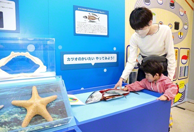 益城町のグランメッセ熊本で開幕した“ごはん展”。「お魚コーナー」など、親子で見て触れて学ぶことができる（10日）