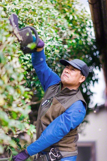 生け垣の剪定を行う吉村さん。公園や施設の管理も担うが「家主の顔が見える個人宅がいい」。植木の話題だと冗舌になる