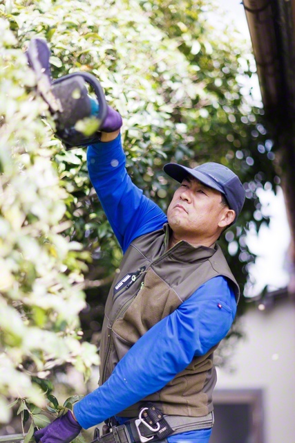 生け垣の剪定を行う吉村さん。公園や施設の管理も担うが「家主の顔が見える個人宅がいい」。植木の話題だと冗舌になる