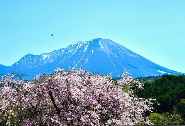観光道路沿いの本宮展望駐車場から望む大山（鳥取県米子市）