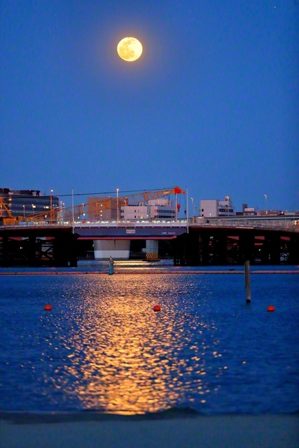 群青の夜空に輝く満月が、池田先生の故郷・大森の海岸を照らす（2020年2月、本紙記者撮影）