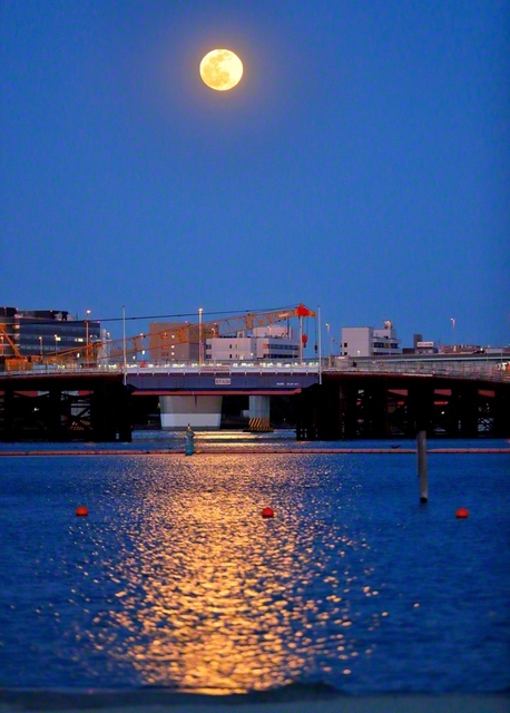 群青の夜空に輝く満月が、池田先生の故郷・大森の海岸を照らす（2020年2月、本紙記者撮影）
