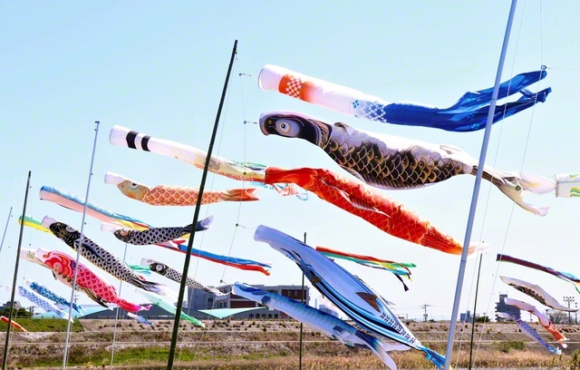 青空のもと、悠々と泳ぐこいのぼり（福岡県吉富町）＝福岡・大藏由紀通信員