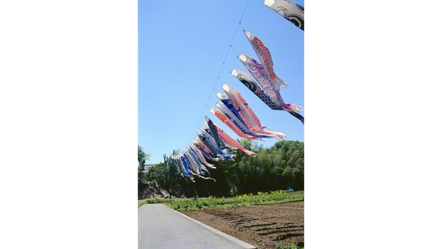 池田先生が広布後継の友への思いを込めて、風に乗って泳ぐこいのぼりを車中から写真に収めた（1999年4月、東京・あきる野市で）。この写真は、4月26日に開かれた、「5・5」を祝賀する未来部誓願勤行会で紹介された