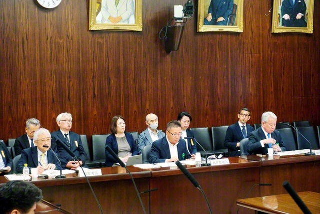 国会で参考人として発言する鳥井さん（移住連提供）