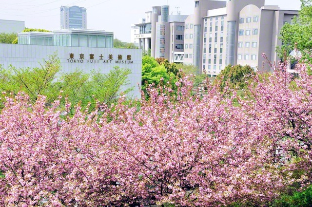 2008年4月、池田先生は八王子市の東京富士美術館と、創価大学のキャンパスにカメラを向けた。新たな人間文化の担い手として、若き知性が学ぶ
