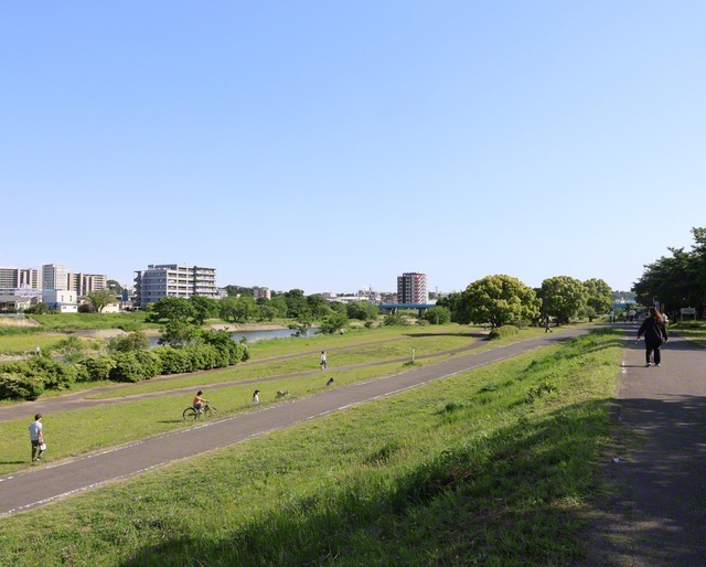 埼玉県狭山市の河川敷中央公園。市の中心部を流れる入間川沿いにある