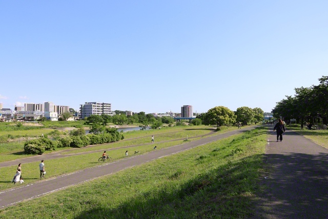 埼玉県狭山市の河川敷中央公園。市の中心部を流れる入間川沿いにある