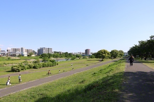 埼玉県狭山市の河川敷中央公園。市の中心部を流れる入間川沿いにある